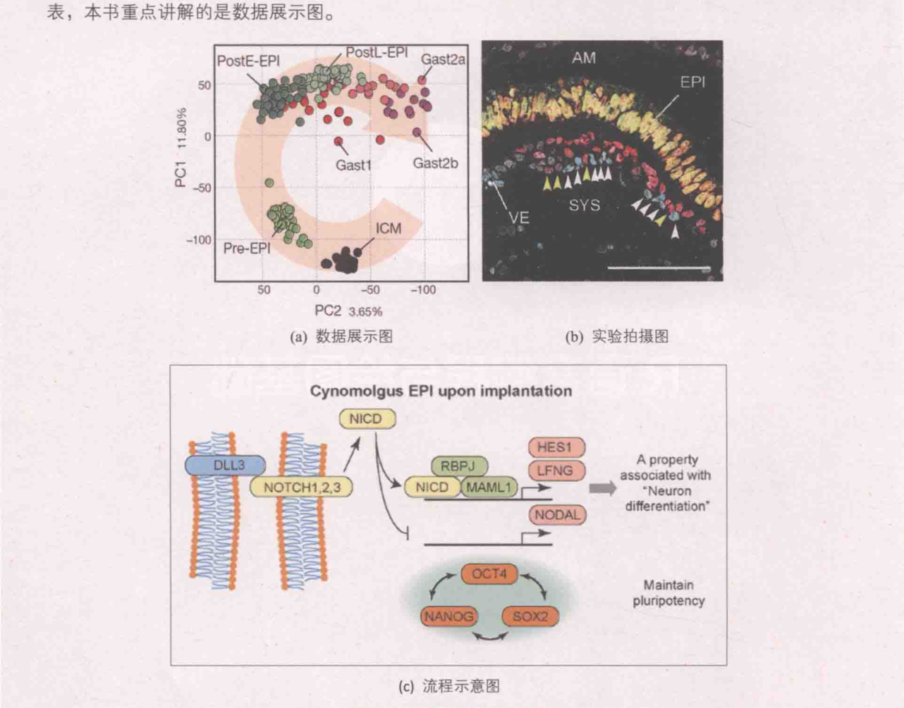 ch_图1-1-1_不同类型的图表.png